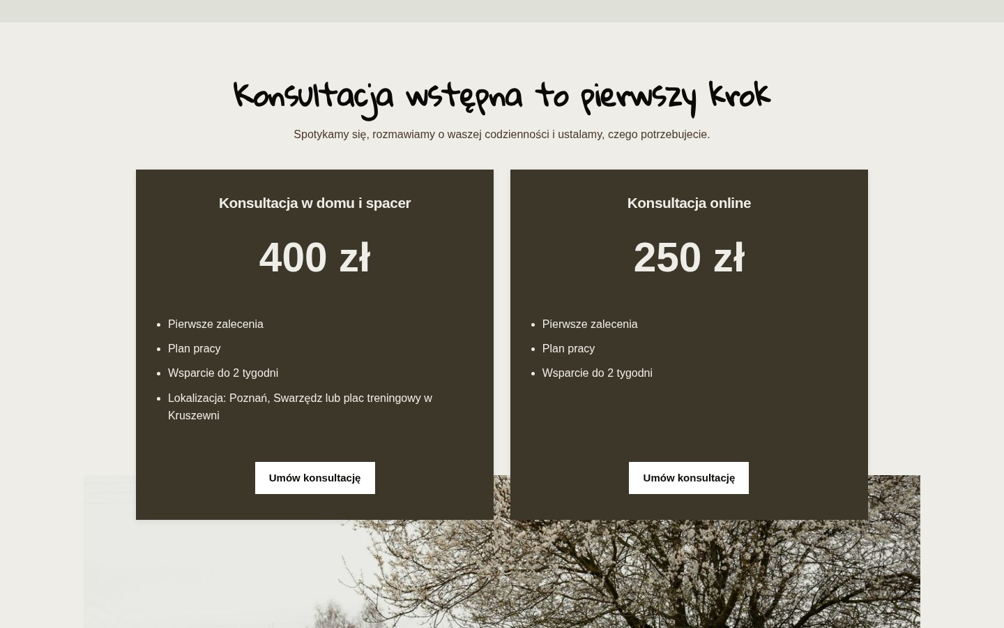 Warianty i ceny konsultacji wstępnej HAU ABOUT DOG